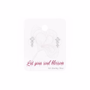 10MM zilver ear studs rond
