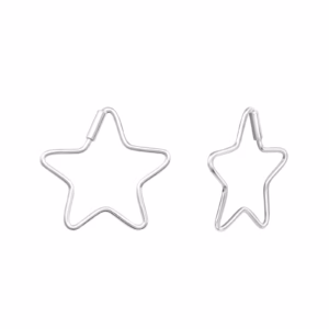 Creolen stervorm 925 sterling zilver