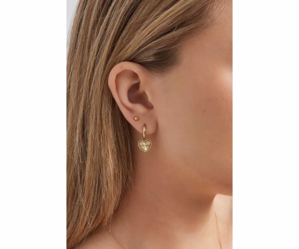 Earrings hearts