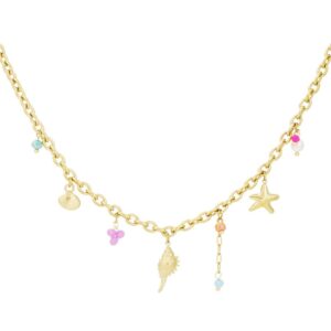 Schakelketting met divers bedels en schelpen