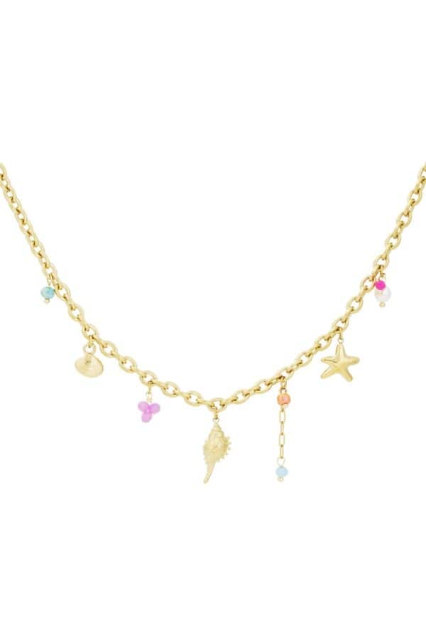 Schakelketting met divers bedels en schelpen