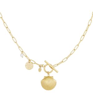 Lange ketting met zomerse schelp